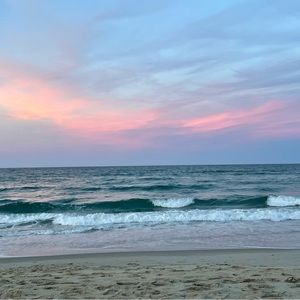 Meet your Posher, Clara